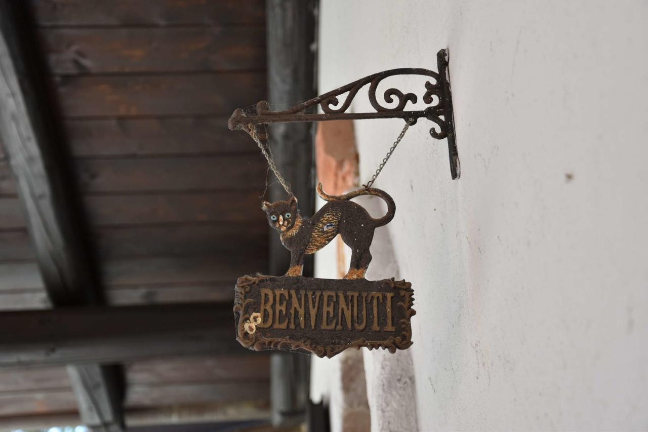 B&B La Dolce Vita Priocca Εξωτερικό φωτογραφία